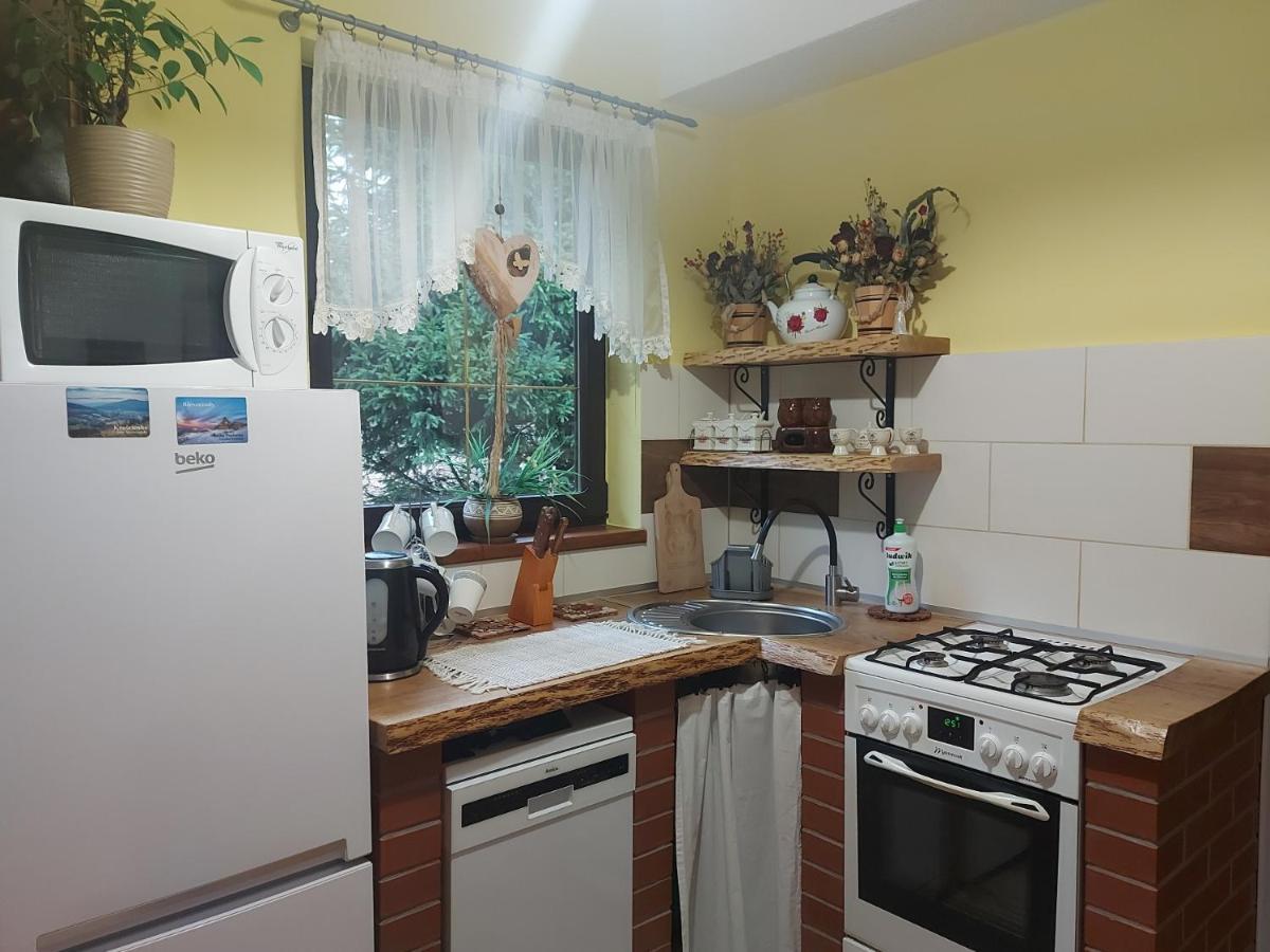 Bieszczadzki Dworek Устрики-Долішні Екстер'єр фото